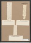 Pleurosigma rhomboides Cleve (de-Toni-Nr.: Genus 13, Species 1048) Zeichnungen Sammlung Grunow Nr. 1884 (NHMW-BOT-W0368997)